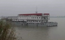  “回頭看”典型案例通報（一）丨安慶市江豚自然保護區(qū)不斷瘦身 “水中大熊貓”生境堪憂