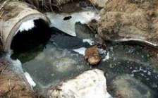  cod能反映水質污染情況嗎？