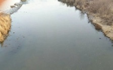  “回頭看”典型案例通報（二十一）丨 遼寧撫順市敷衍整改 東洲河水質嚴重惡化