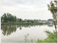  揚(yáng)州農(nóng)村投放微動(dòng)力污水處理設(shè)備 26個(gè)小盒子“洗”凈全村污水