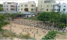  生態(tài)環(huán)境部：水源地專項(xiàng)督查第二批環(huán)境違法問題45個(gè)