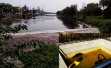  江蘇泰興短期內(nèi)連遭生態(tài)環(huán)境部嚴批后續(xù)：市委副書記等5人被問責