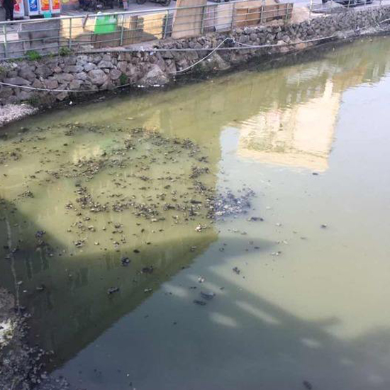  秋冬交替，污泥又到了換季膨脹的季節(jié)