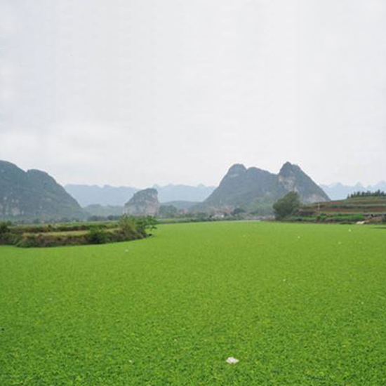  氣溫下降，我的氨氮超標(biāo)怎么辦