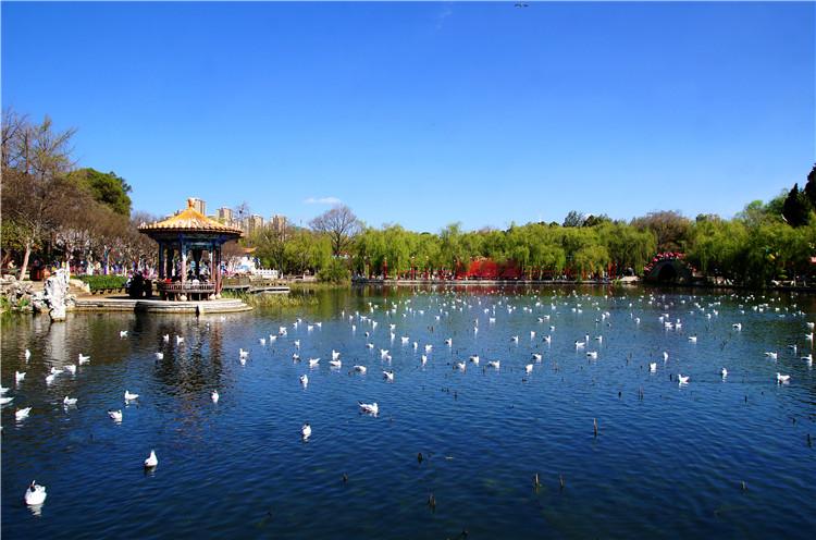 云南婚慶文化藝術大漁主題公園