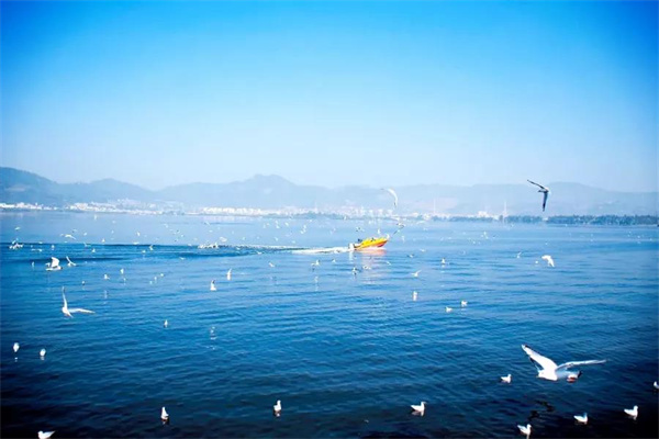 想偷半日浮生閑？來昆明看天、看湖、看雪景|春城冬韻·美景